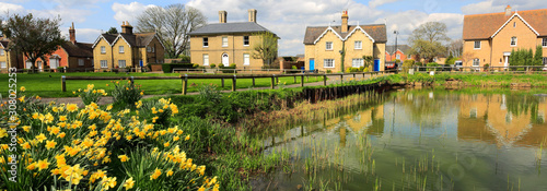 Fotografía Spring daffodils, Ramsey village pond, Cambridgeshire, England