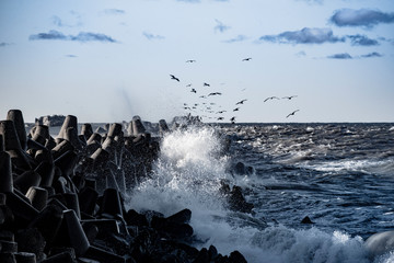 Canvas Print - Liepaja port north mole in stormy day, Latvia.