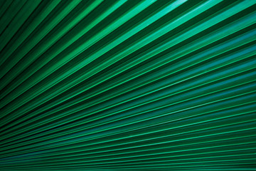 tropical palm leaf and shadow, abstract natural green background, dark blue tone