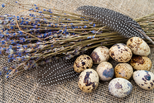 Fotografía quail eggs on dark old background