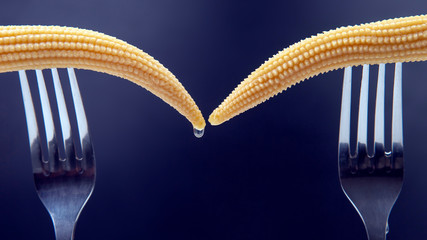 two pickled corn on a fork close-up on a dark blue background. food and vegetables