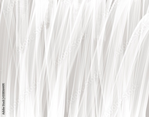 Wide White Abstract Background With Space For Text (3D Illustration)