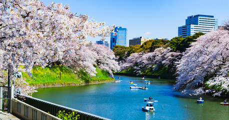 Wall Mural - Landscape of spring Tokyo city view in Japan