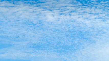 Wall Mural - Abstract background, Summer blue sky and white soft streak cloud in sunny day