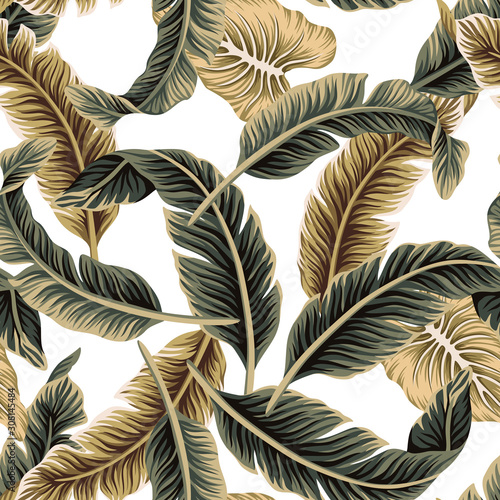 Tropical vintage vector banana leaves floral seamless pattern. Exotic jungle ...