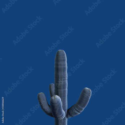 classic-blue-cactus-color-of-the-year-2020-3d-rendering