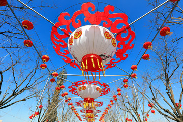 Wall Mural - Large lanterns in parks, Chinese tradition