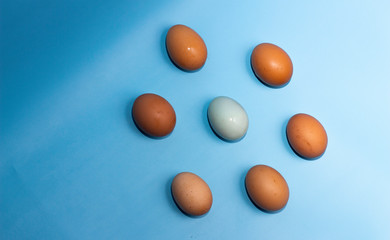 eggs isolated on blue background, copy space