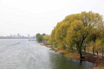 Wall Mural - Waterfront City Scenery, North China