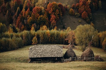 Wall Mural - Autumn nature landscape in the forest with haytsack and old building.