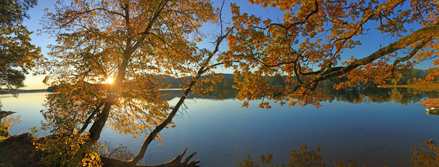 Lake shore in the Fall  