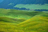 Fototapeta Pokój dzieciecy - Mountain nature landscape with grassy green meadows and grazing sheep