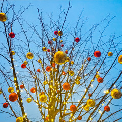 A tree decorated with red and yellow Christmas balls against a sky. Moscow. Russia. December 6, 2019