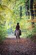 Girl rides a horse away along a wooded trail