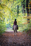 Fototapeta  - Girl rides a horse away along a wooded trail