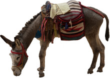 Mule Donkey, Isolated On White Background
