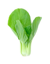 Bok Choy (chinese Cabbage) Isolated On White