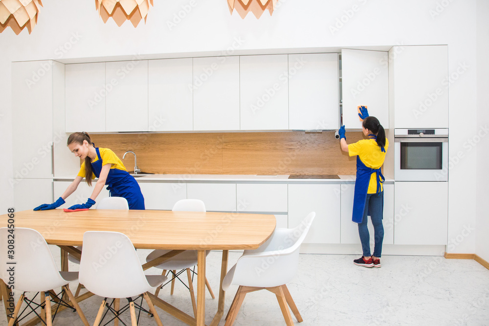 professional cleaning service. Two women in working uniform, in aprons ...