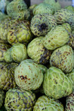 Fototapeta Kuchnia - Close up image of Fresh green Cherimoya