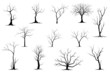 © CHANTHIMA SAENUBON - Black Branch Tree or Naked trees silhouettes set. Hand drawn isolated illustrations.