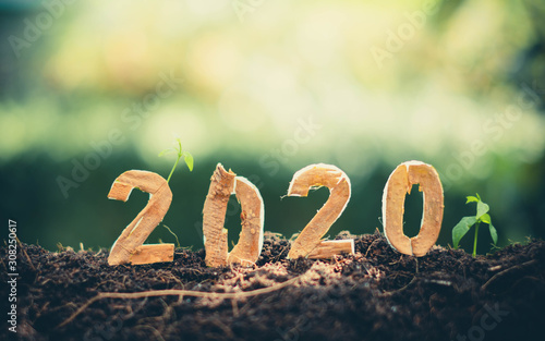 Cuadros en Lienzo Happy New Year 2020 social media video