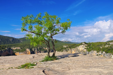 Wall Mural - Landschaft nahe Siurana in Katalonien, Spanien - landscape near village Siurana in Catalonia mountains