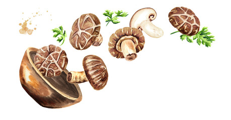 Bowl with Fresh Japanese Shiitake mushroom. Watercolor hand drawn horizontal illustration, isolated on white background