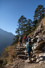 travellers climb the stone stairs on the slope of the mountain. trees are rising on the slope. brigh