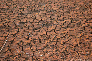 dry crack land earth landscape for global warming concept 