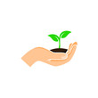 © males_design - vector hand holding a green young plant isolated on white background