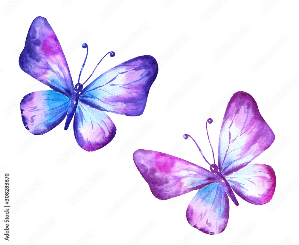 Set of watercolor butterflies violet blue pink. Stock Illustration | Adobe  Stock, image size:1000x820