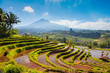 Leinwandbild Motiv scenic panorama view of rice terraces with volcano in bali indonesia
