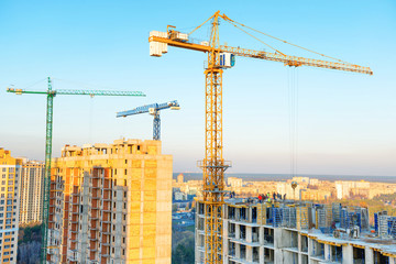 Wall Mural - Construction with cranes on industrial building site