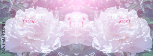 Banner natural pink background.