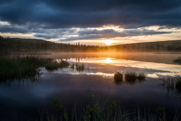 Russian northern landscape. Kola Peninsula, the Arctic. Murmansk region. Swamp with morning haze at sunrise
