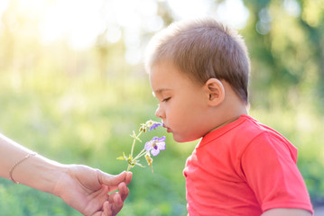 Wall Mural - a little child in the Park sniffing a flower, a child enjoying nature on a Sunny summer day. the concept of happy childhood and kindness. cute kind child on the street with a flower