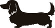 Long haired dachshund Silhouette with ear line