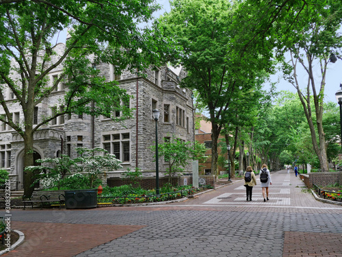 University of Pennsylvania campus is very green and shady, as seen in this view along Locust Walk.