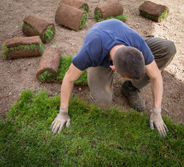 Gardener Installing Natural Grass Turfs Creating Beautiful Lawn Field