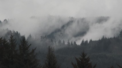 Wall Mural - Smoke Fog And Rain Pass Through Forest Hills Time Lapse