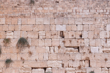 The Western Wall