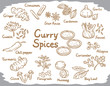 Spices and herbs for curry or Indian cuisine.