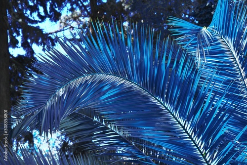 palm-leaf-dark-toned-in-classic-blue-2020-year-color-tropical-jungle-palm-tree-branch-foliage-floral-pattern-summer-background-nature-spring-season-concept-abstract-art-luxury-decor-texture-closeup