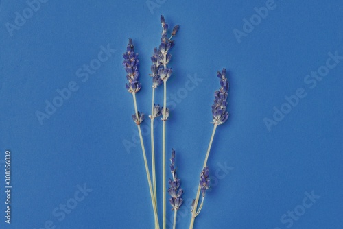 bouquet-of-violet-lavender-flowers-arranged-on-table-background-concept-dry-flower-floral-composition-isolated-spa-skin-care-classic-blue-pantone-color-year-2020-top-view-flat-lay-mock-up-copy-space