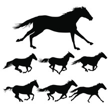 Vector Silhouettes Of Horses Running.