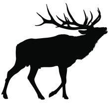 A Vector Silhouette Of A Large Bull Elk Bugling.