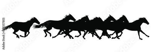 Fotomural Vector silhouettes of horses running.