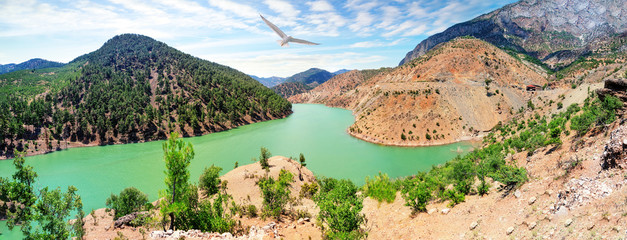 Wall Mural - kayseri zamanti river on way to kapuzbashi waterfall with seagull in sky
