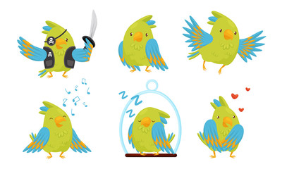 Wall Mural - cute funny parrot cartoon character collection, adorable domestic bird in different situations vecto