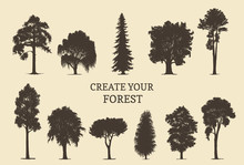 Hand Drawn Silhouettes Of Different Trees. Create Your Own Forest. Vector Sketches Of Coniferous Or Deciduous Woods.